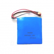 Shook his car electric battery